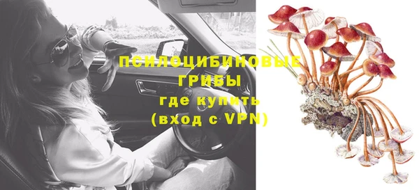 бошки Белокуриха