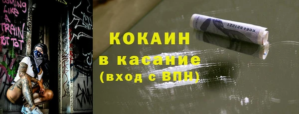 бошки Белокуриха