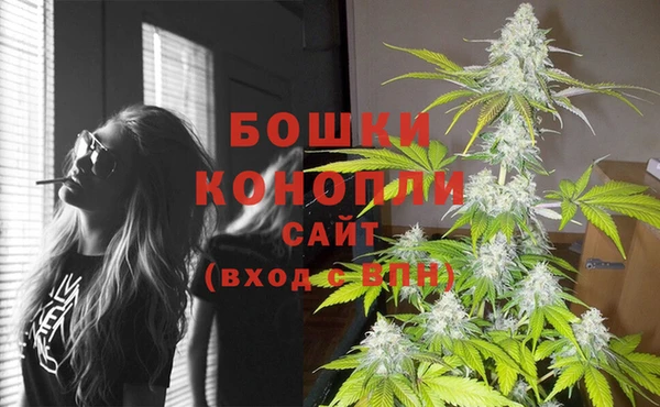 бошки Белокуриха