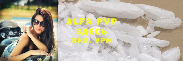 бошки Белокуриха