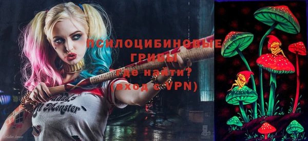бошки Белокуриха